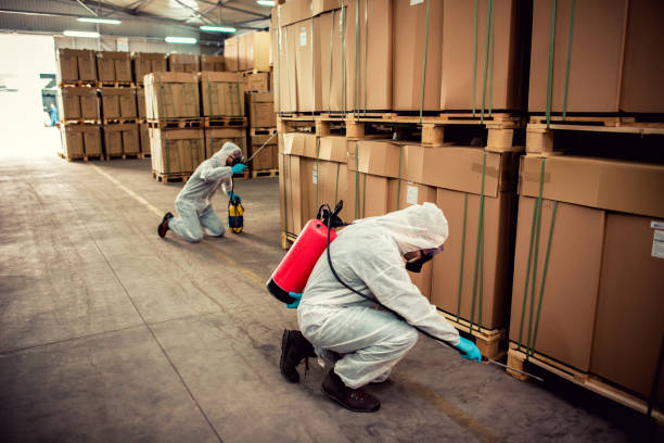 Best Mosquito Control Services  in Woodmere, LA