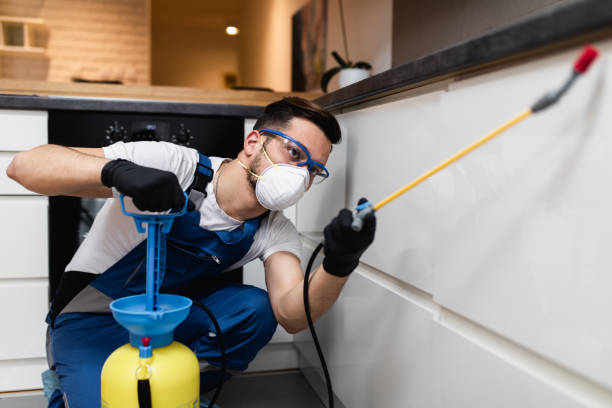 Best Pest Control for Businesses  in Woodmere, LA