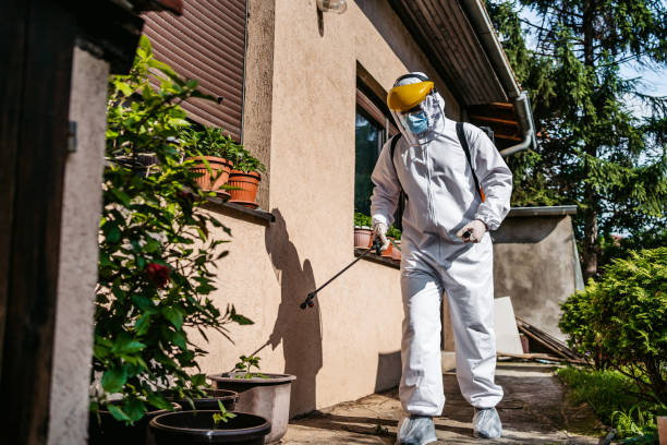 Best Local Pest Control Services  in Woodmere, LA