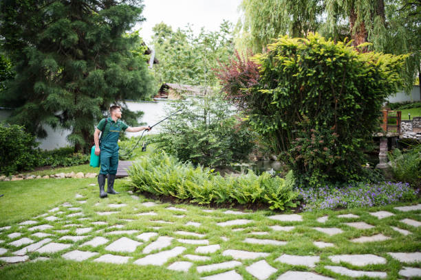 Trusted Woodmere, LA Pest Control Experts