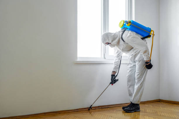 Best Pest Prevention Services  in Woodmere, LA