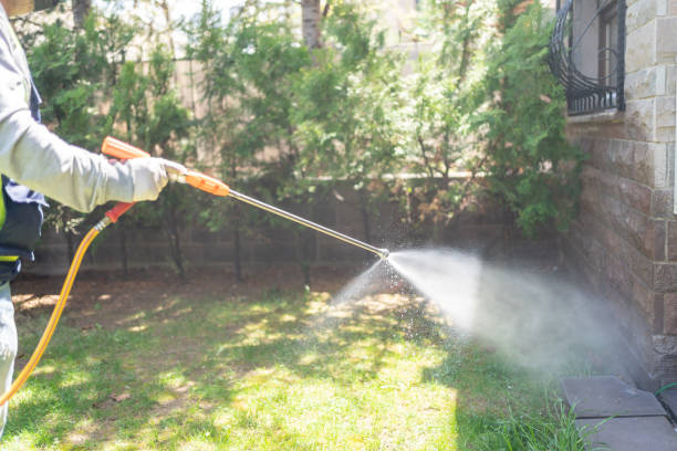 Best Exterminator Services  in Woodmere, LA