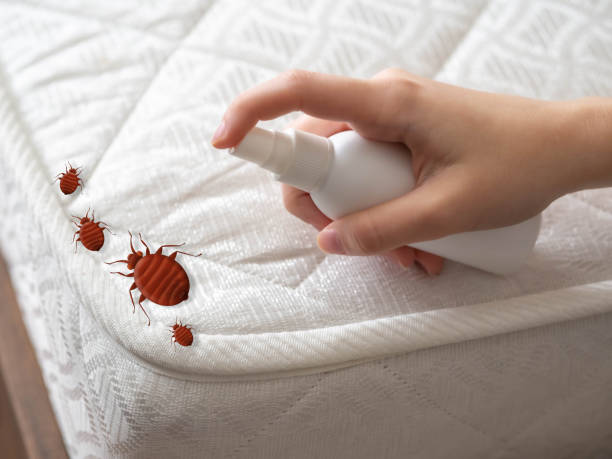 Best Pest Prevention Services  in Woodmere, LA