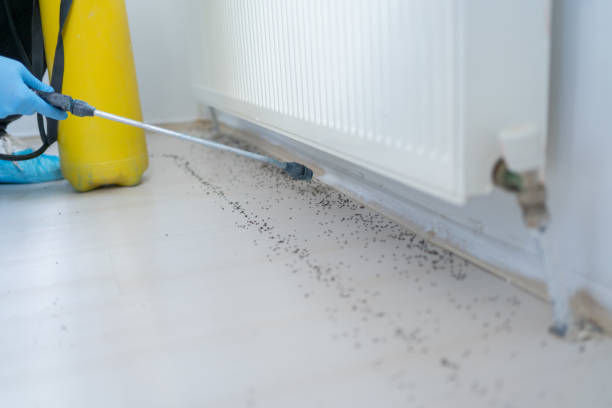 Best Pest Inspection Near Me  in Woodmere, LA