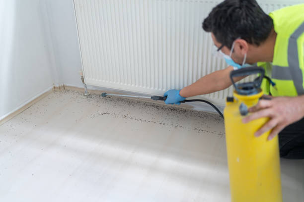 Best Commercial Pest Control Services  in Woodmere, LA