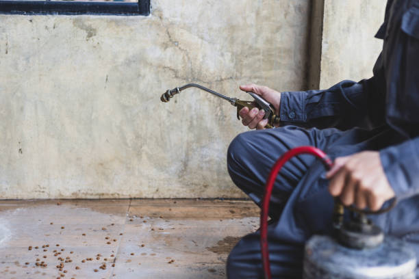 Best Residential Pest Control  in Woodmere, LA