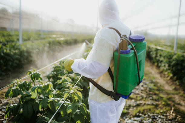 Best Pest Inspection Near Me  in Woodmere, LA